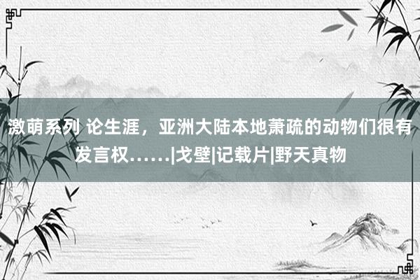   激萌系列 论生涯，亚洲大陆本地萧疏的动物们很有发言权……|戈壁|记载片|野天真物