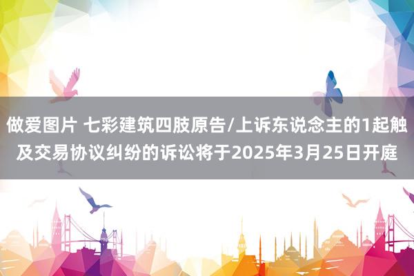   做爱图片 七彩建筑四肢原告/上诉东说念主的1起触及交易协议纠纷的诉讼将于2025年3月25日开庭