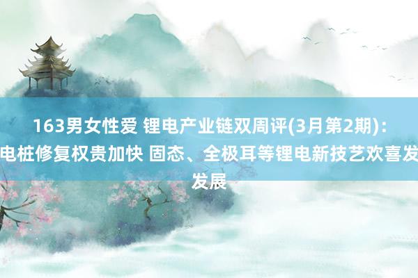   163男女性爱 锂电产业链双周评(3月第2期)：充电桩修复权贵加快 固态、全极耳等锂电新技艺欢喜发展