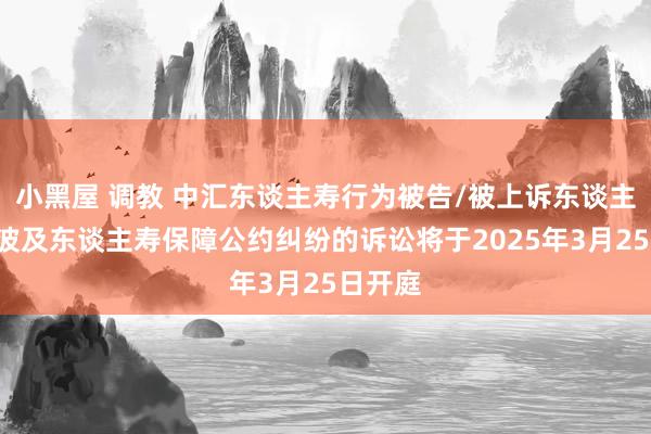   小黑屋 调教 中汇东谈主寿行为被告/被上诉东谈主的1起波及东谈主寿保障公约纠纷的诉讼将于2025年3月25日开庭
