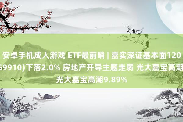 安卓手机成人游戏 ETF最前哨 | 嘉实深证基本面120ETF(159910)下落2.0% 房地产开导主题走弱 光大嘉宝高潮9.89%