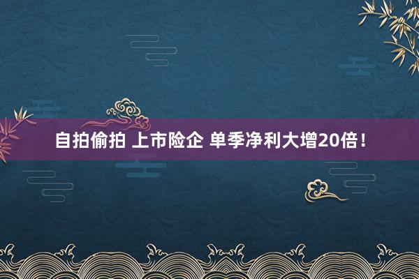 自拍偷拍 上市险企 单季净利大增20倍！