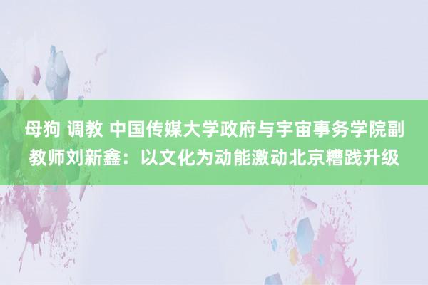 母狗 调教 中国传媒大学政府与宇宙事务学院副教师刘新鑫：以文