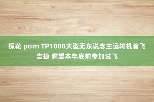 探花 porn TP1000大型无东说念主运输机首飞告捷 瞻