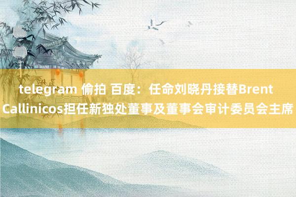 telegram 偷拍 百度：任命刘晓丹接替Brent Callinicos担任新独处董事及董事会审计委员会主席