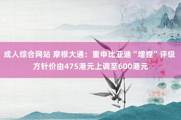 成人综合网站 摩根大通：重申比亚迪“增捏”评级 方针价由475港元上调至600港元